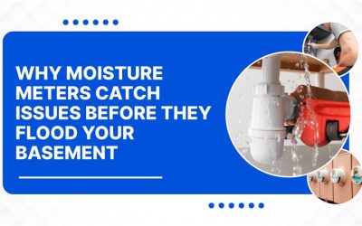 Why Moisture Meters Catch Issues Before They Flood Your Basement
