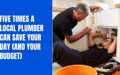 Five Times a Local Plumber Can Save Your Day (and Your Budget)